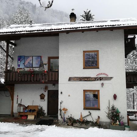 Apartament Haus Muehlbichl Finkenberg Zewnętrze zdjęcie